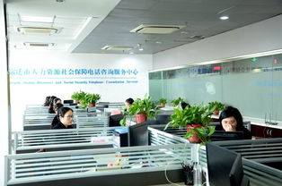 智慧人社，智慧服務(wù) 宿遷舉辦12333全國統(tǒng)一咨詢?nèi)栈顒?dòng)，打造暖心便民信息咨詢服務(wù)